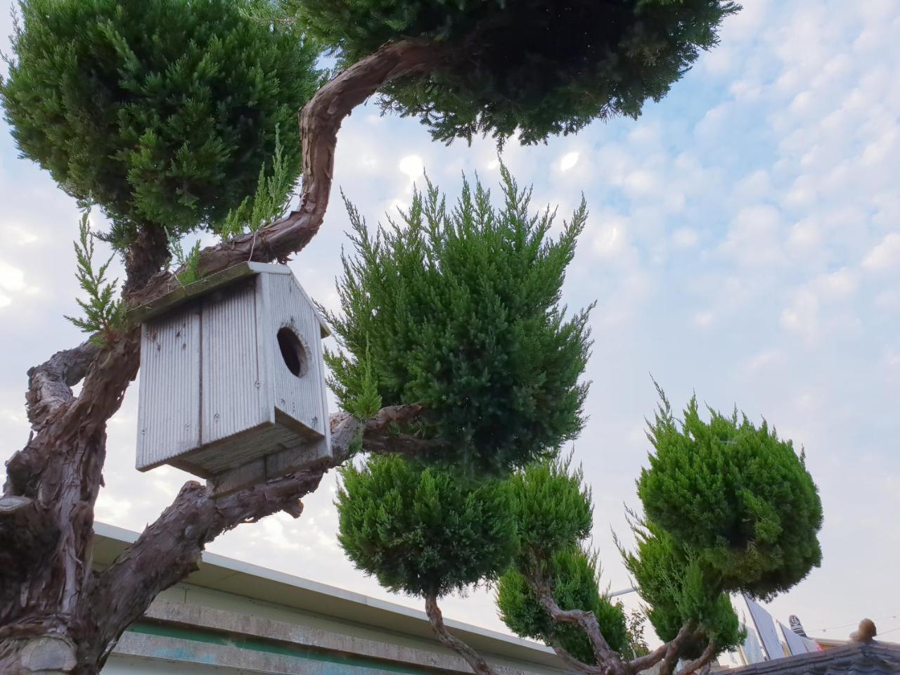 Hanok Raon Gyeongju Exterior foto